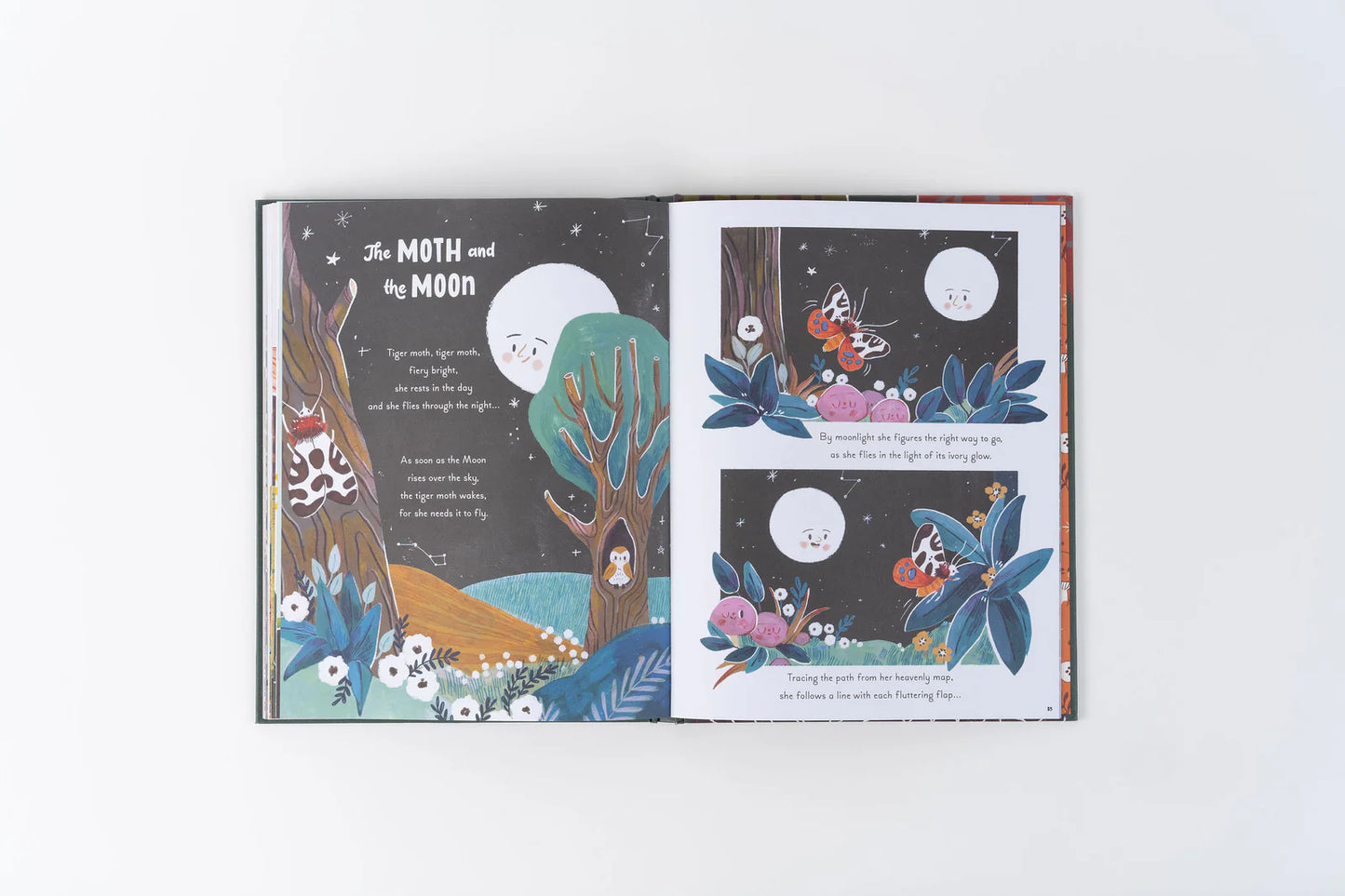5 Minute Nature Stories: True Tales from the Woodland - By Gabby Dawnay, Illustrated by Mona K