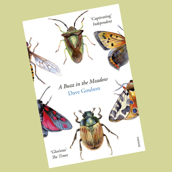 A Buzz in the Meadow - by Dave Goulson