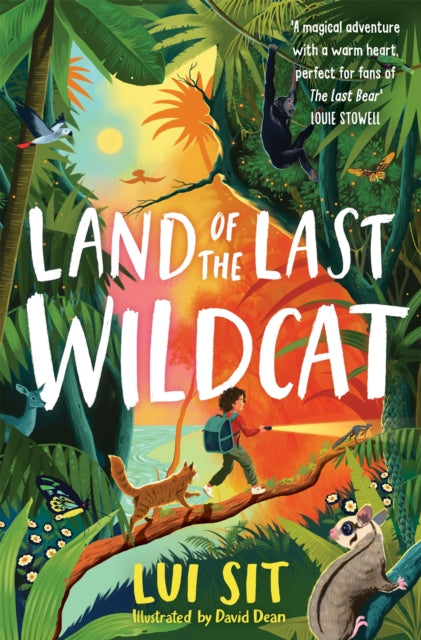 Land of the Last Wildcat - By Lui Sit & Illustrated by David Dean
