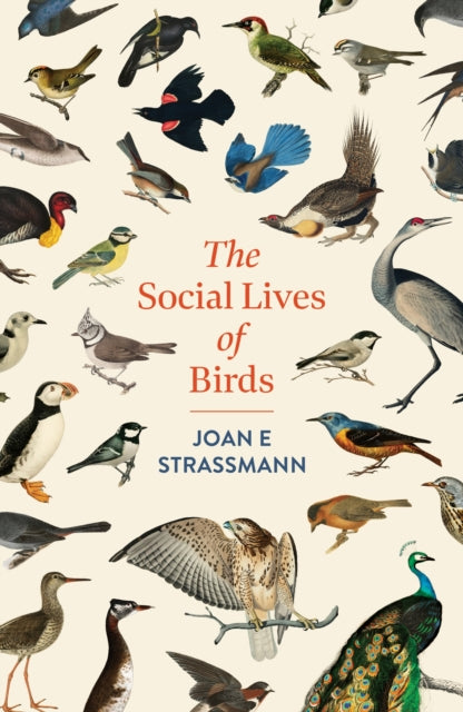 The Social Lives of Birds by Joan E Strassmann