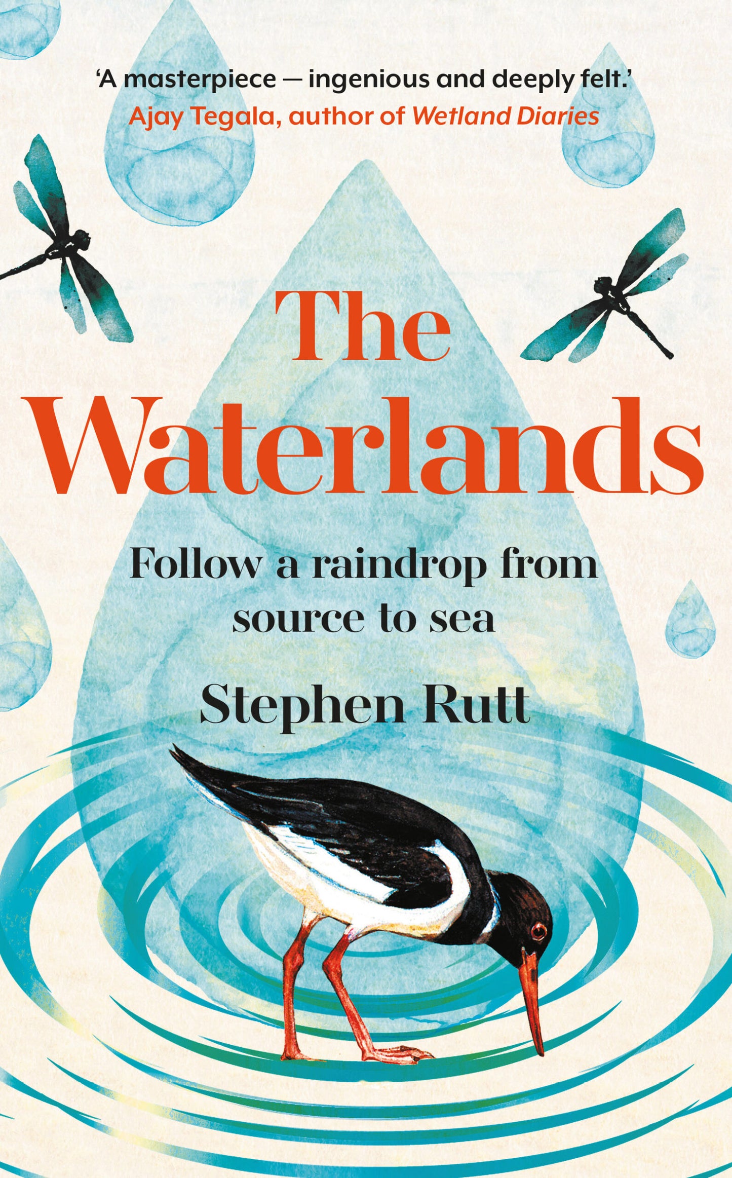 The Waterlands: Follow a Raindrop from Source to Sea - By Stephen Rutt