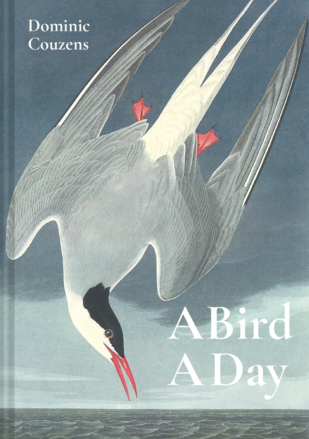 A Bird a Day - By Dominic Couzens