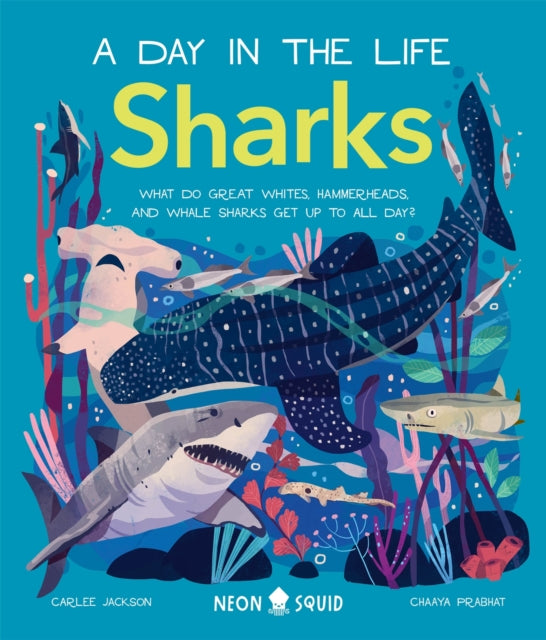 A Day in the Life: Sharks - By Carlee Jackson & Chaaya Prabhat