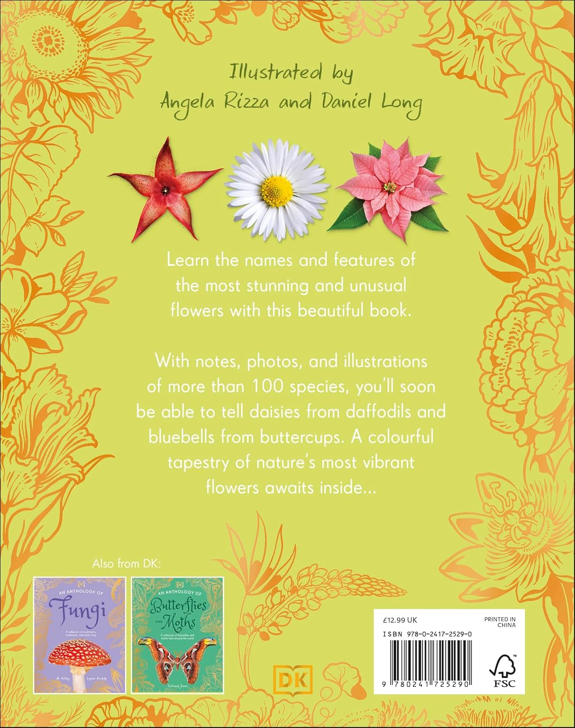 An Anthology of Flowers - By Maddie Bailey (Hardback)