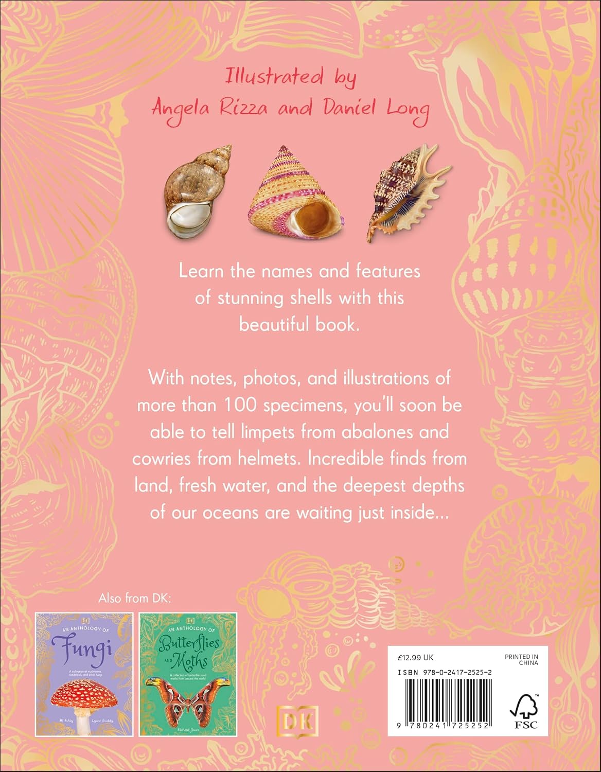 An Anthology of Shells - By Simon Aiken (Hardback)