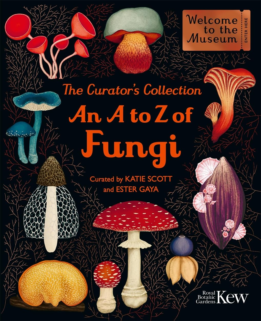An A to Z of Fungi - By Katie Scott & Ester Gaya