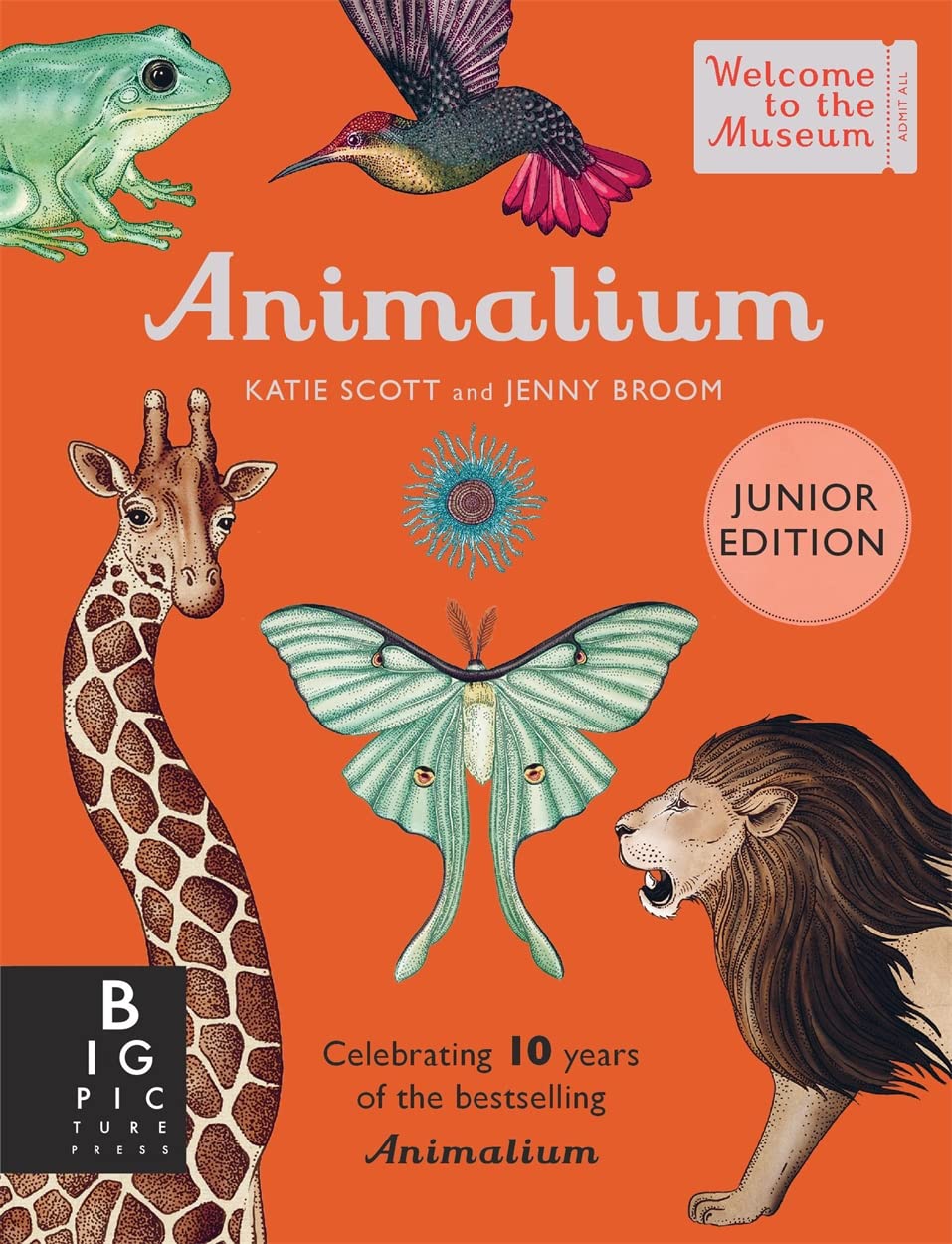 Animalium (Junior Edition) - By Katie Scott & Jenny Broom