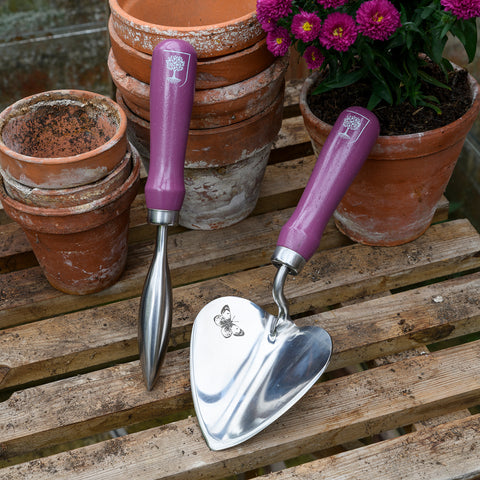 Asteraceae Trowel and Dibber Gift Set