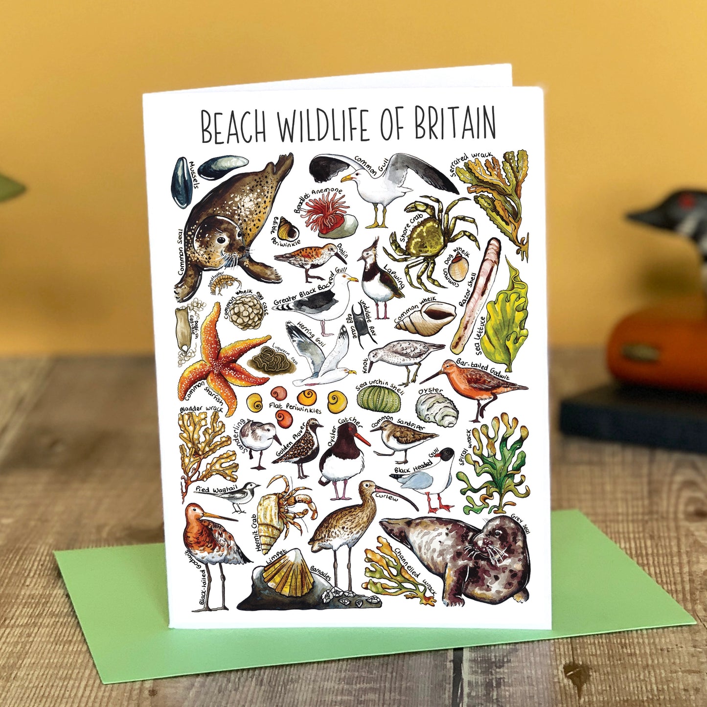 Beach Wildlife - Greetings Card