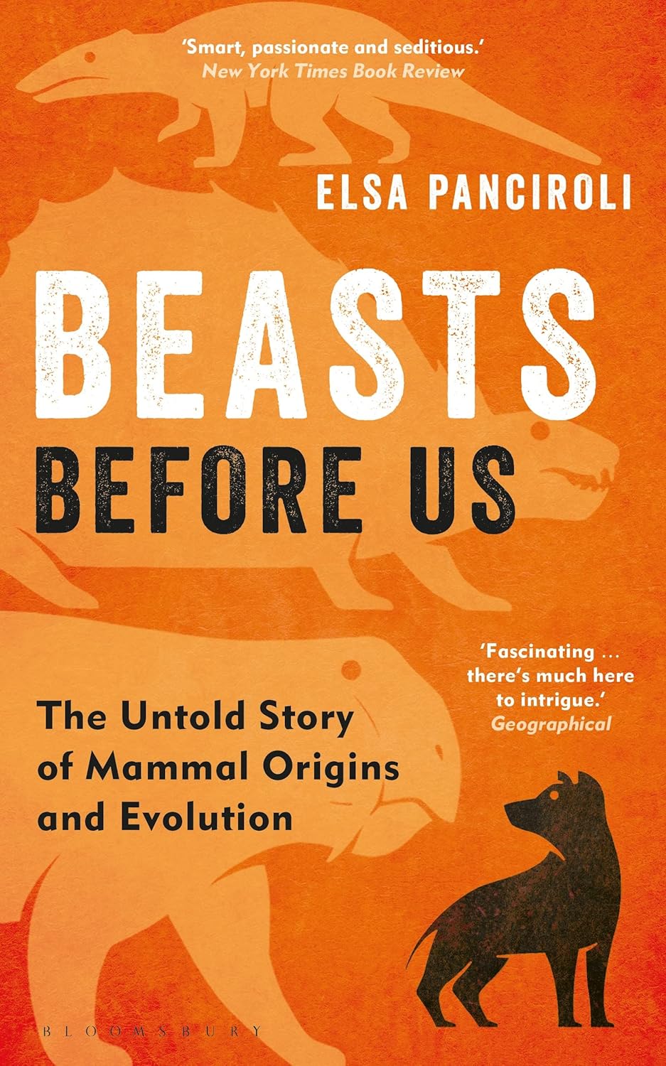 Beasts Before Us - By Elsa Panciroli