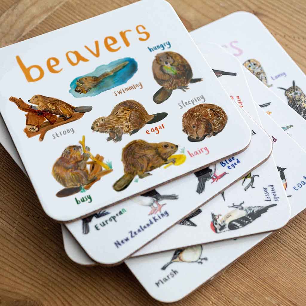 Beavers Coaster