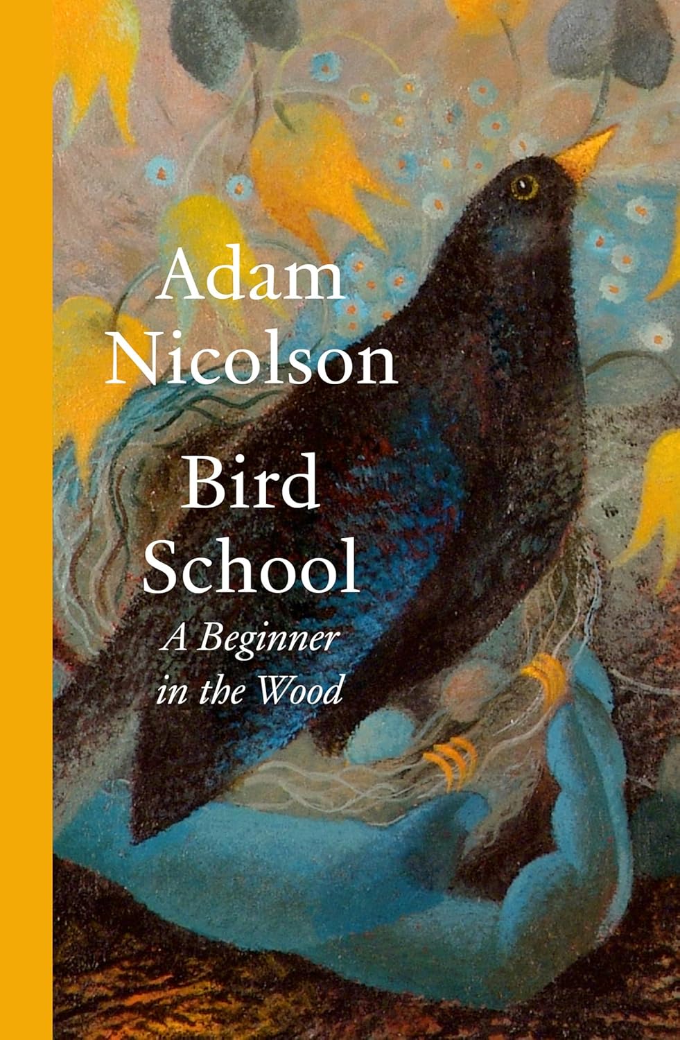 Bird School - By Adam Nicolson (Hardback)