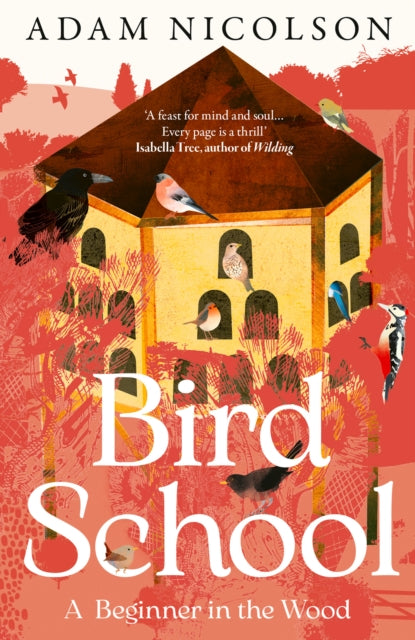 Bird School - By Adam Nicolson