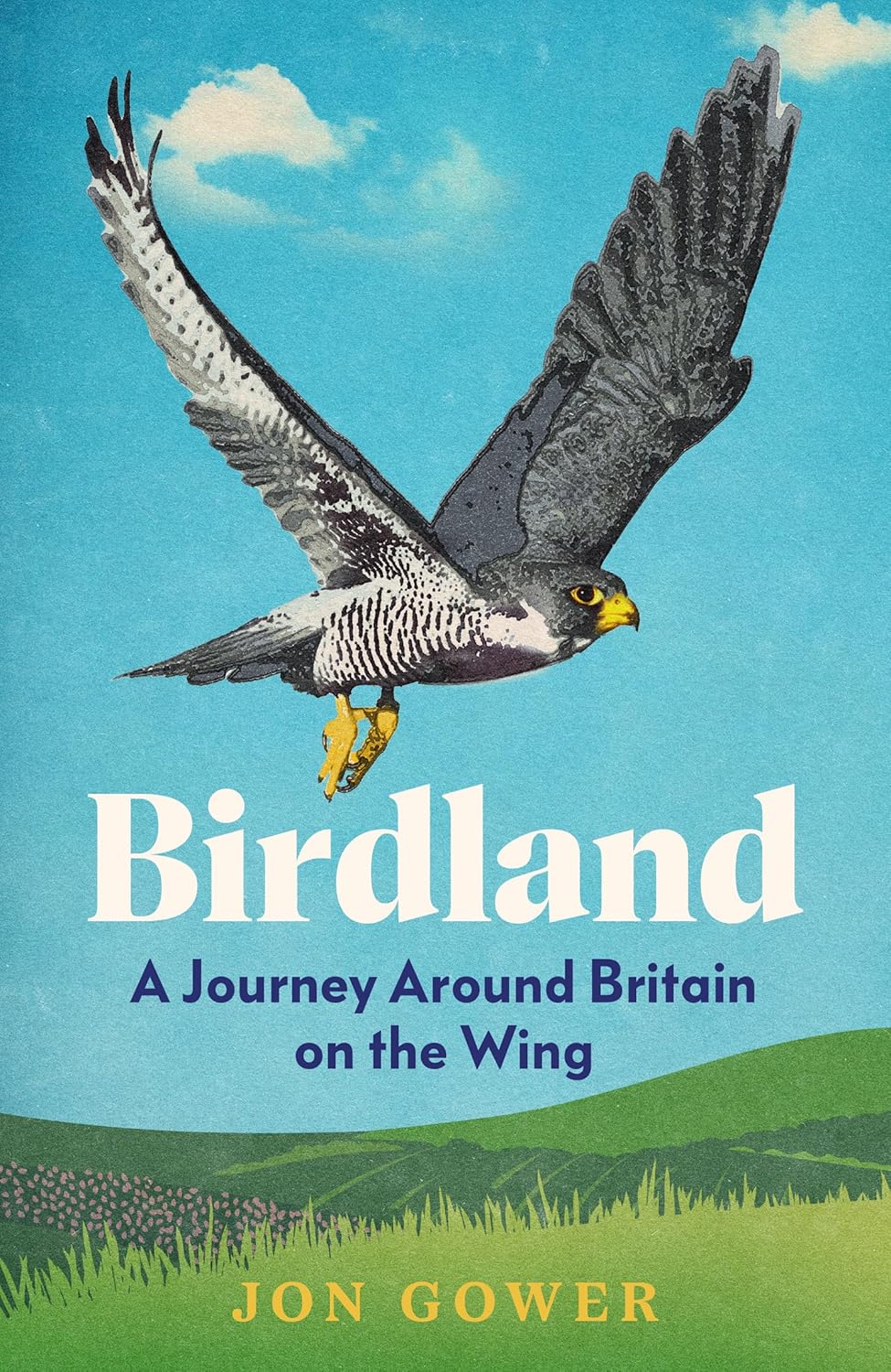 Birdland - By Jon Gower