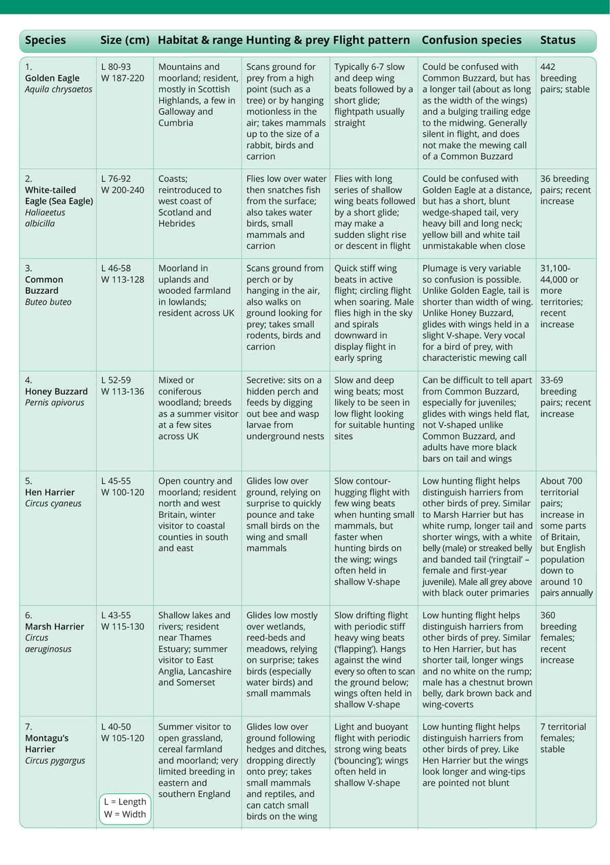 British Birds of Prey - Wild ID Guide