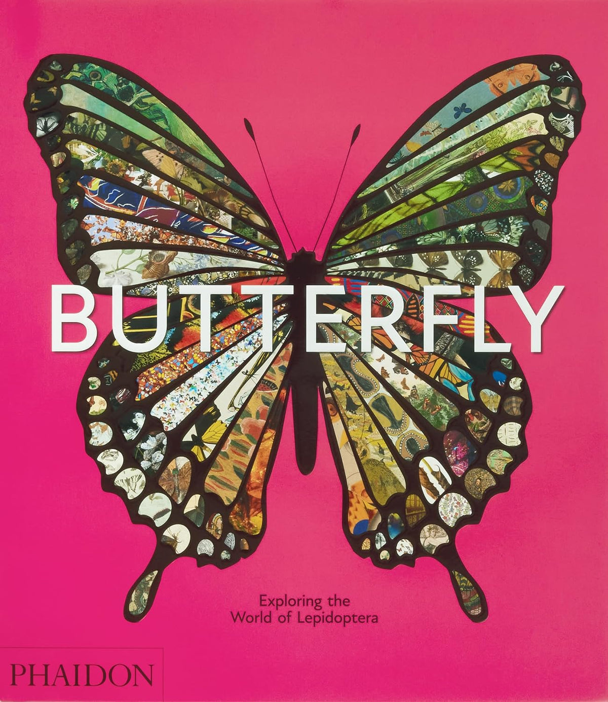 Butterfly: Exploring the World of Lepidoptera - By Phaidon (Hardback)