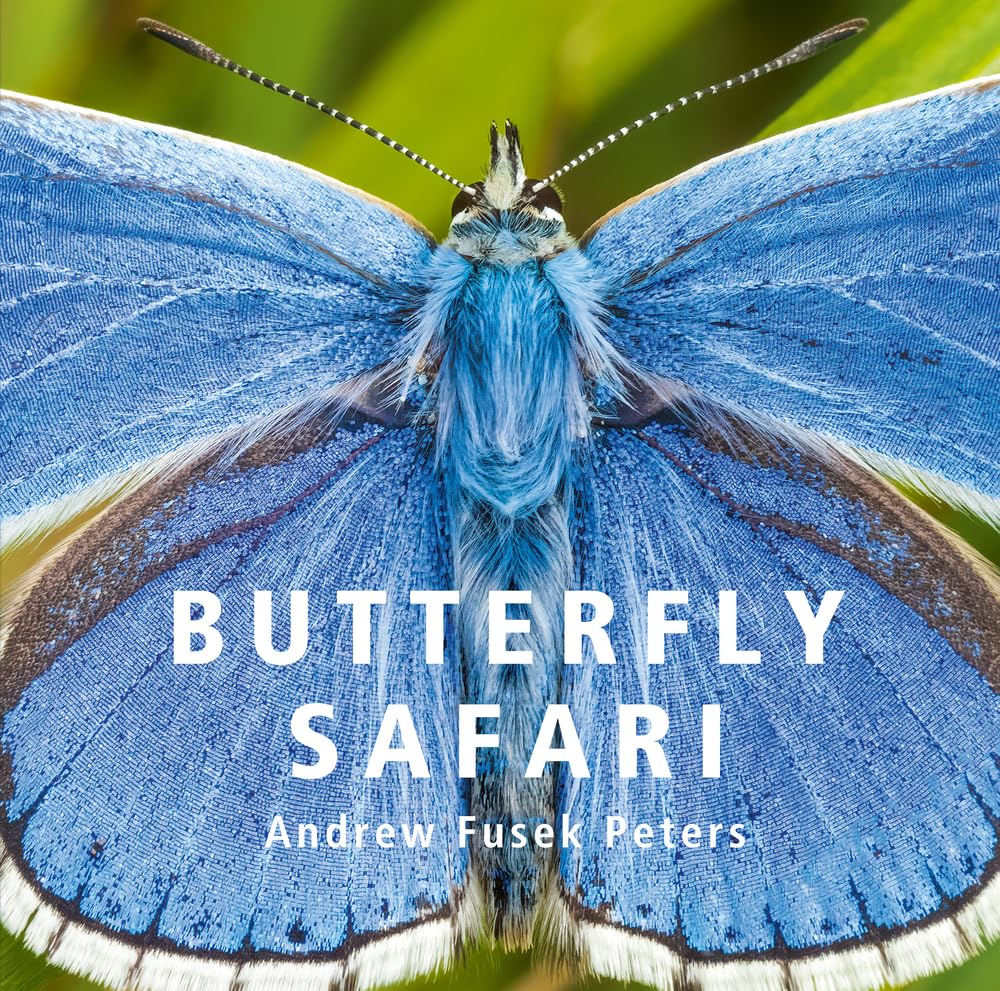 Butterfly Safari - By Andrew Fusek Peters