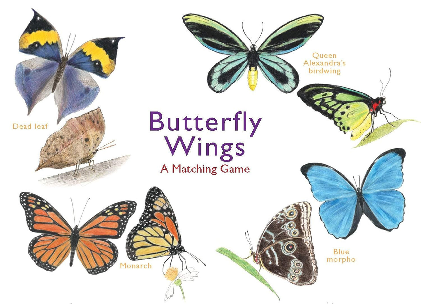 Butterfly Wings: A Matching Card Game
