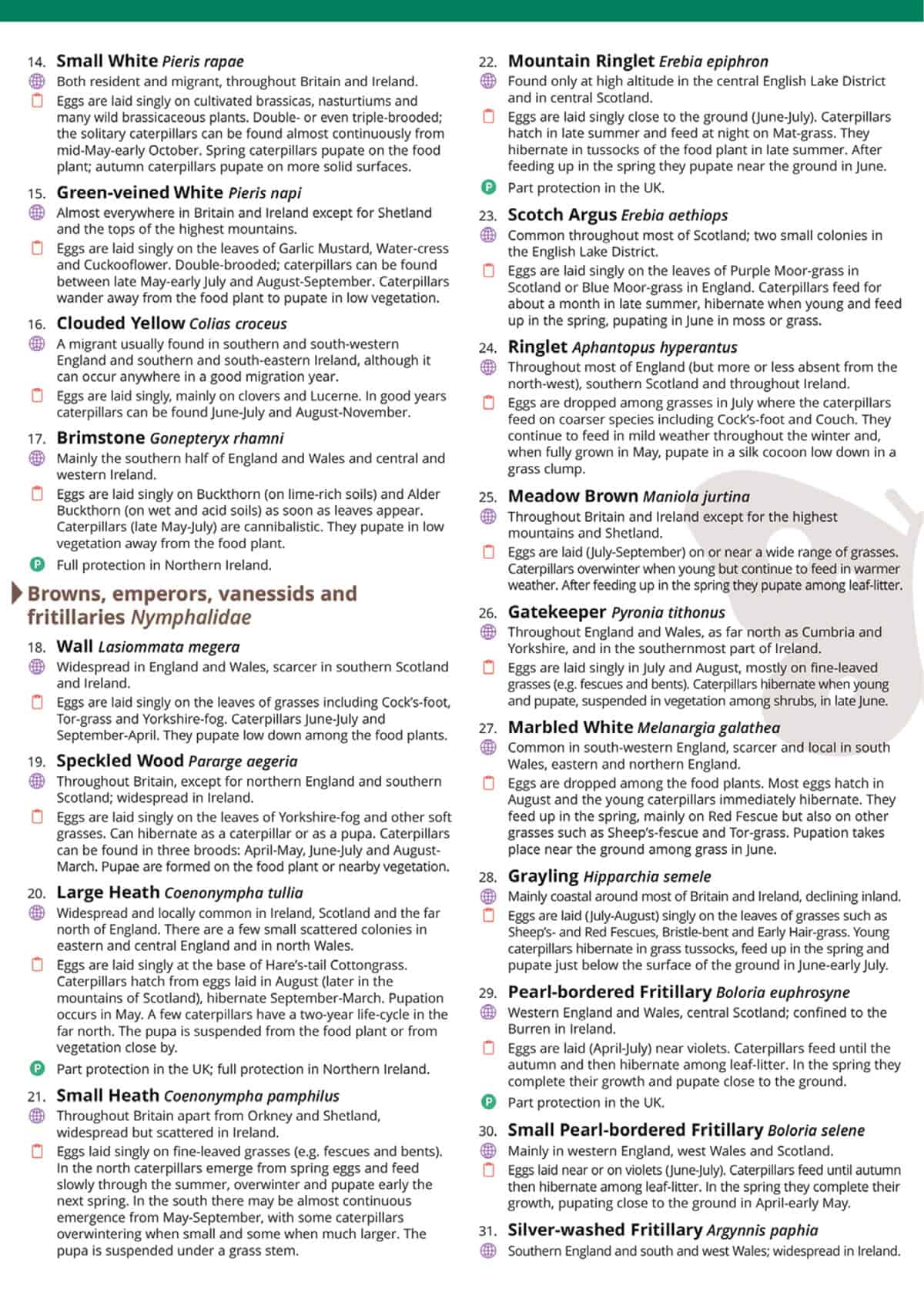 Caterpillars of the Butterflies of Britain and Ireland - Wild ID Guide