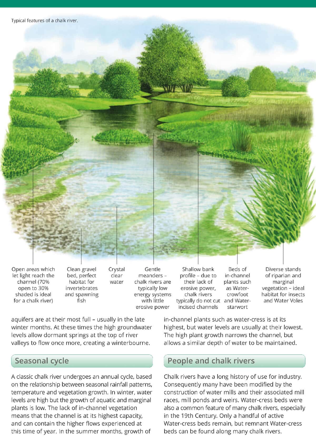 Chalk Rivers of England - Wild ID Guide
