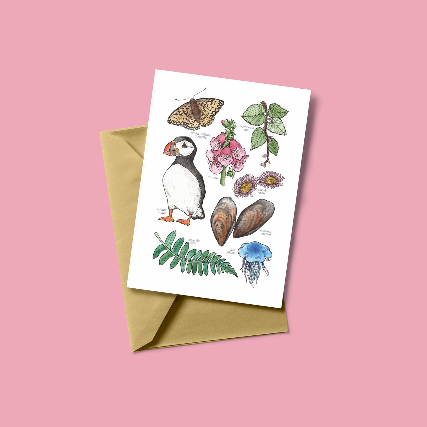 Coastal English Seaside Greetings Card