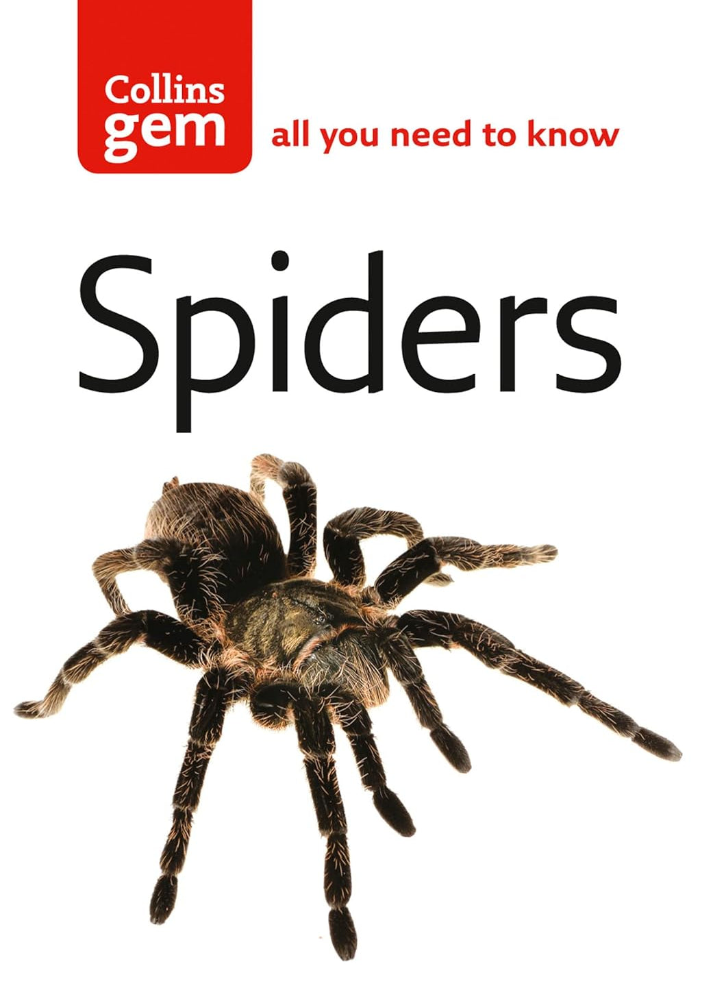 Collins Gem Spiders - By Paul Hillyard