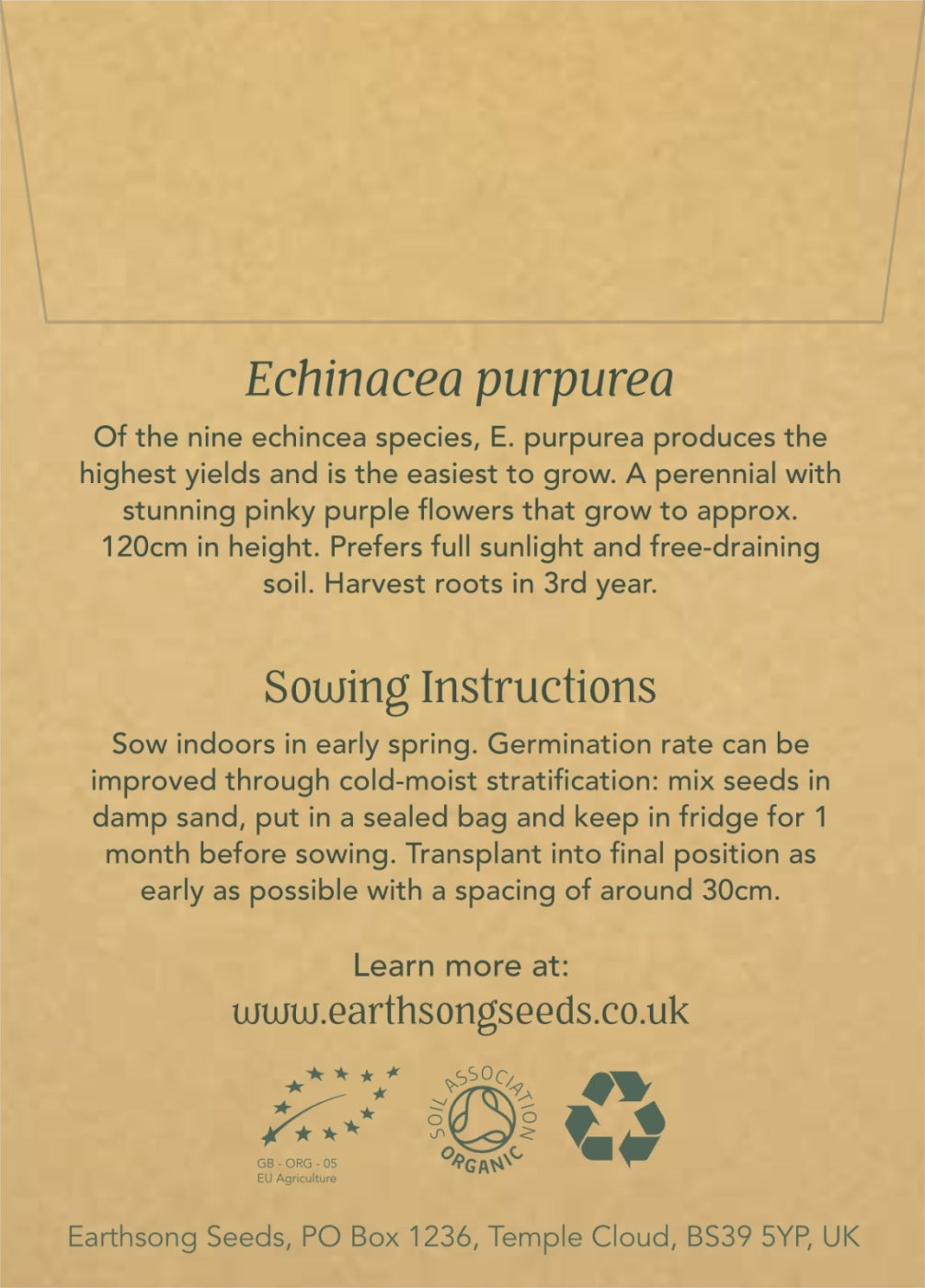 Echinacea purpurea - Seed Packet