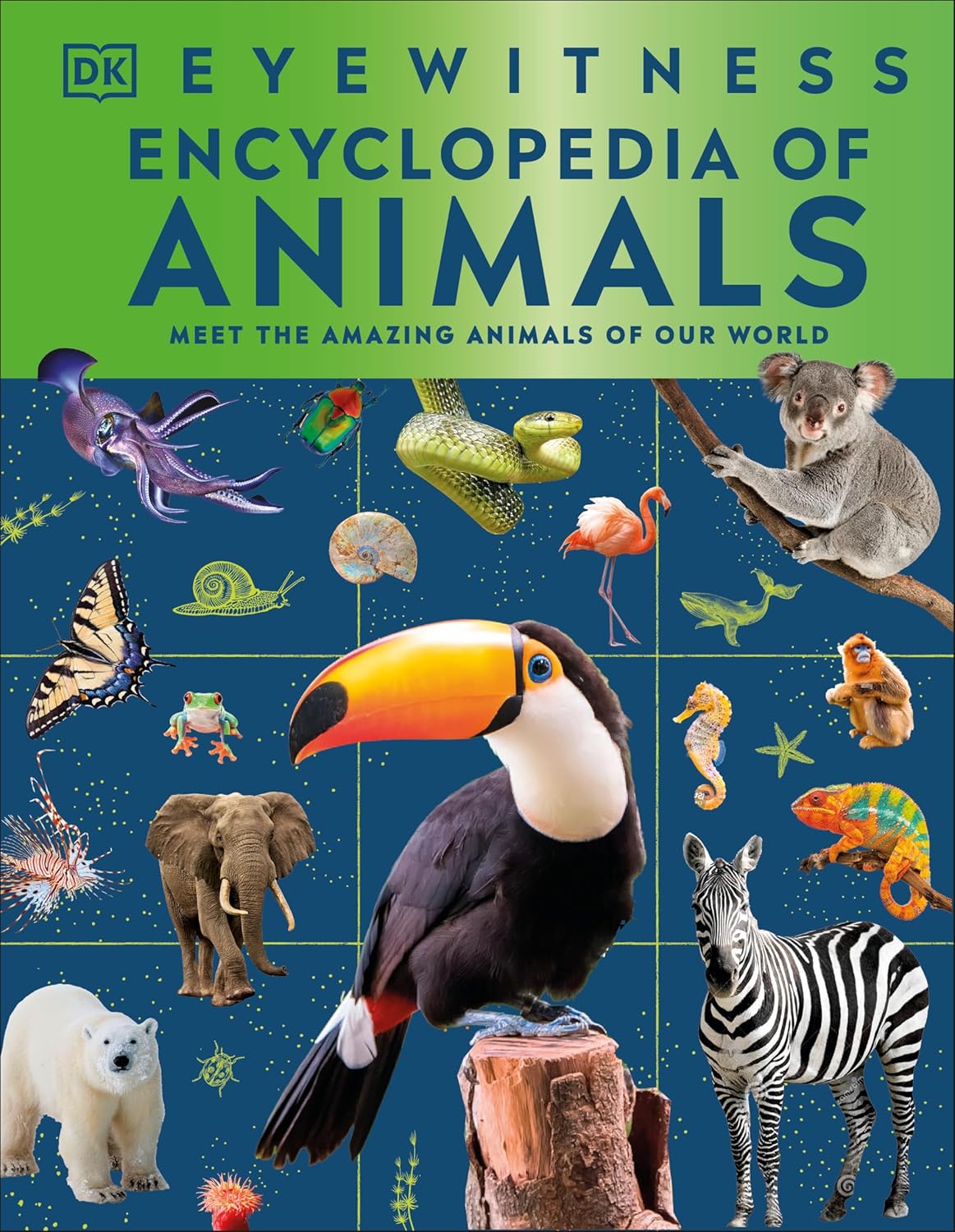 Eyewitness Encyclopedia of Animals - By DK