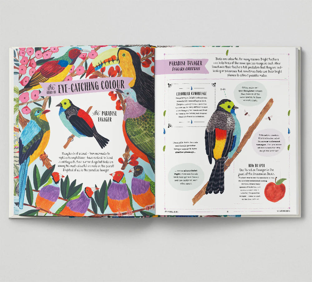 Fly - David Lindo, Illustrated by Sara Boccaccini Meadows