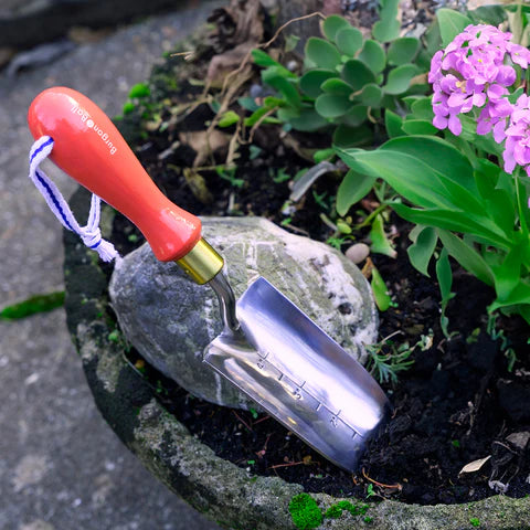 Collectors Range Red Transplanter