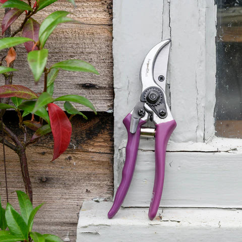 Passiflora Secateur with Gift Box