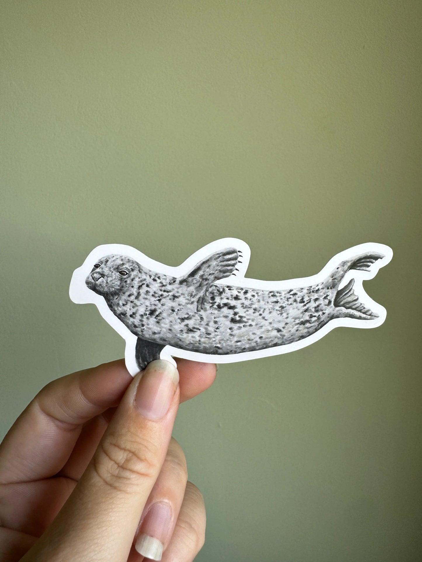 Grey Seal - Vinyl Sticker