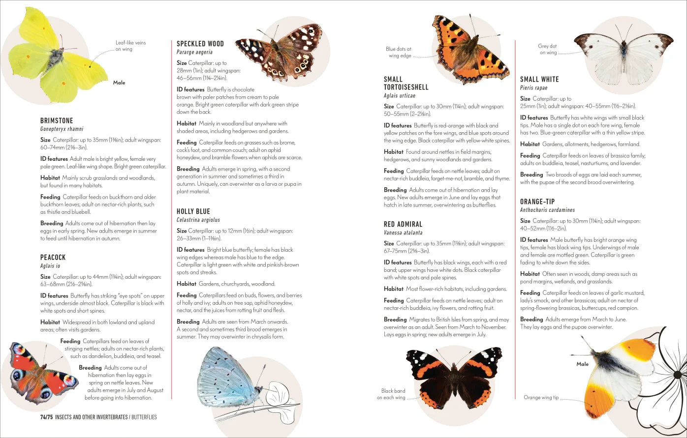 How to Attract Wildlife to Your Garden - By Dan Rouse