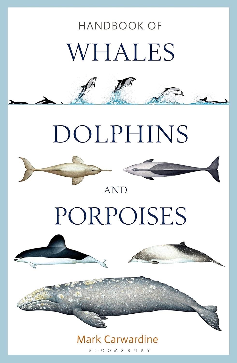 Handbook of Whales, Dolphins and Porpoises- By Mark Carwardine