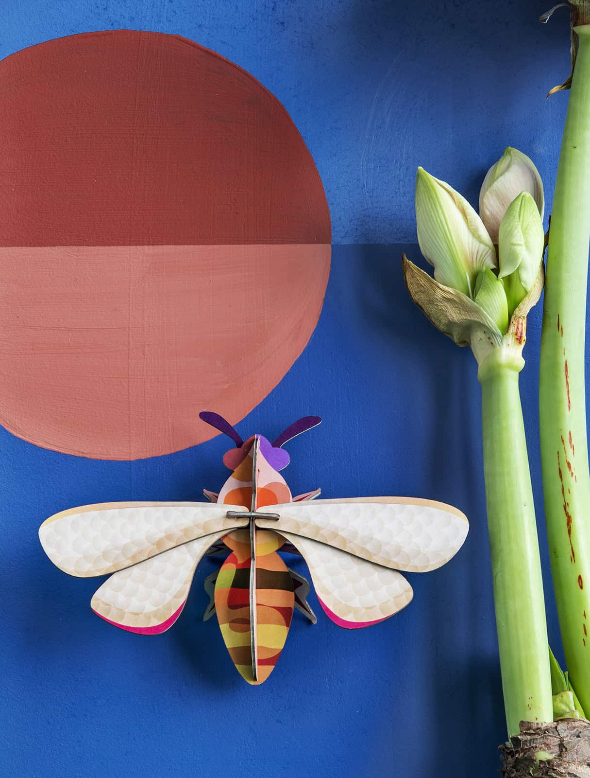 Honey Bee - StudioROOF