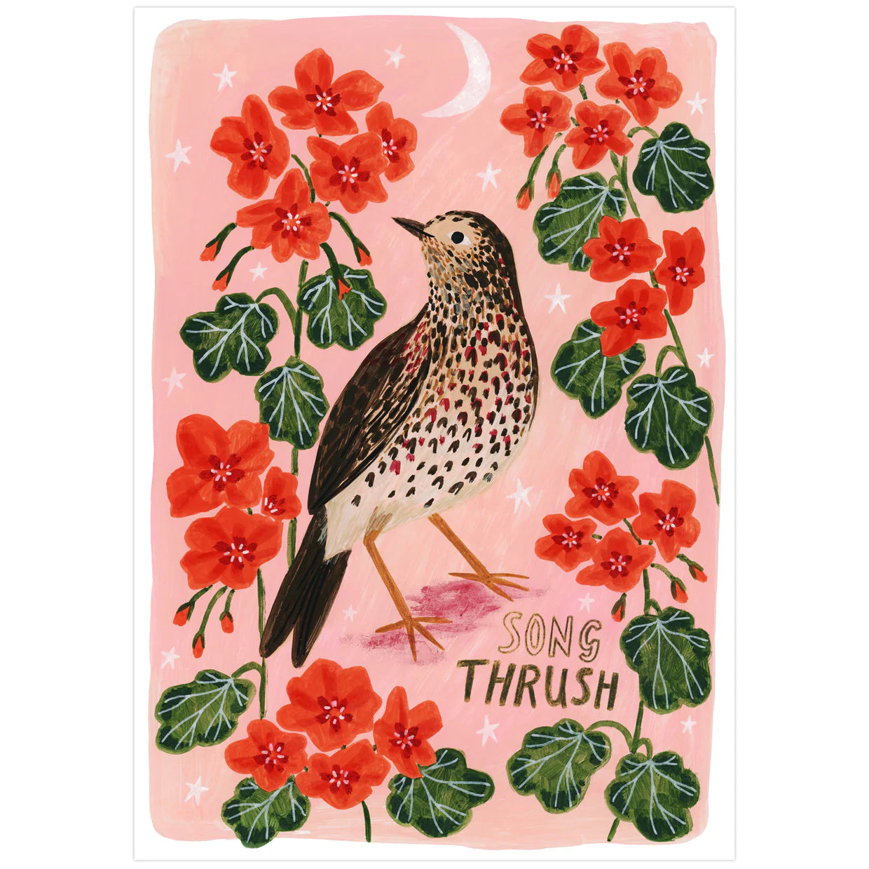 Song Thrush Art Print