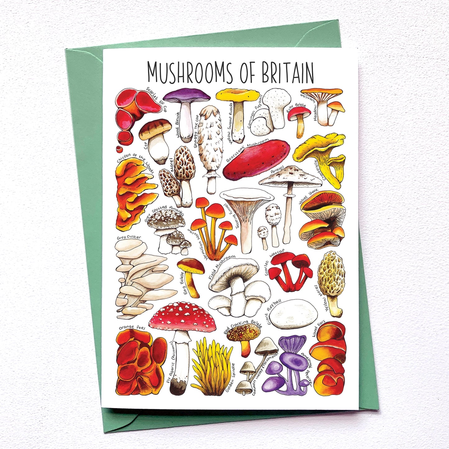 Mushrooms of Britain - Greetings Card