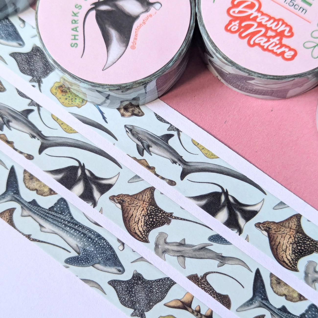 Sharks & Rays Washi Tape