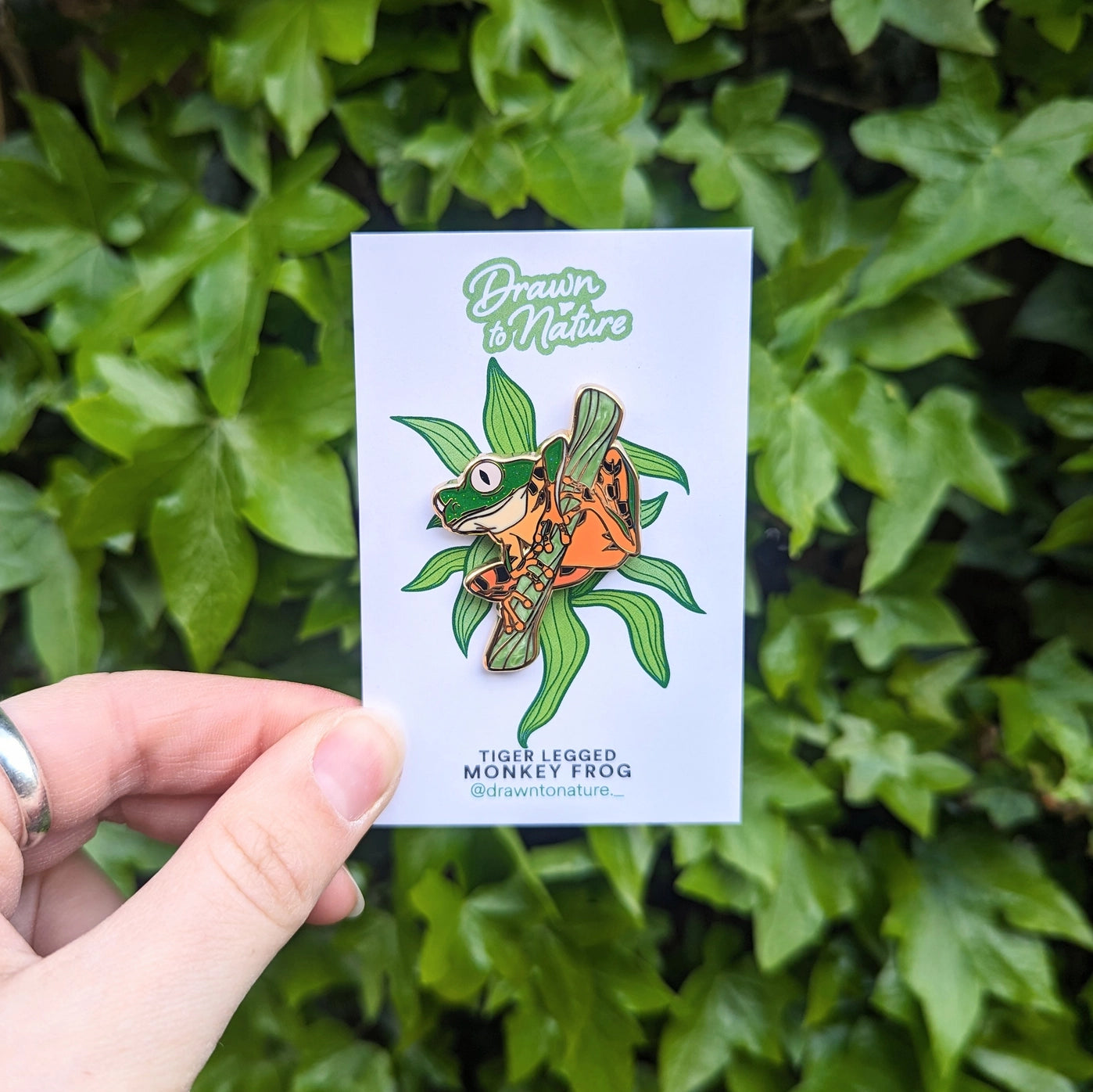 Tiger Legged Monkey Frog Enamel Pin