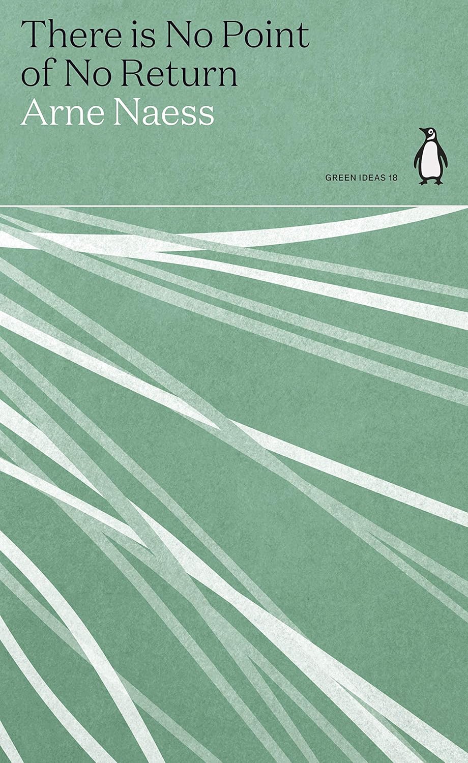 There is No Point of No Return - By Arne Naess