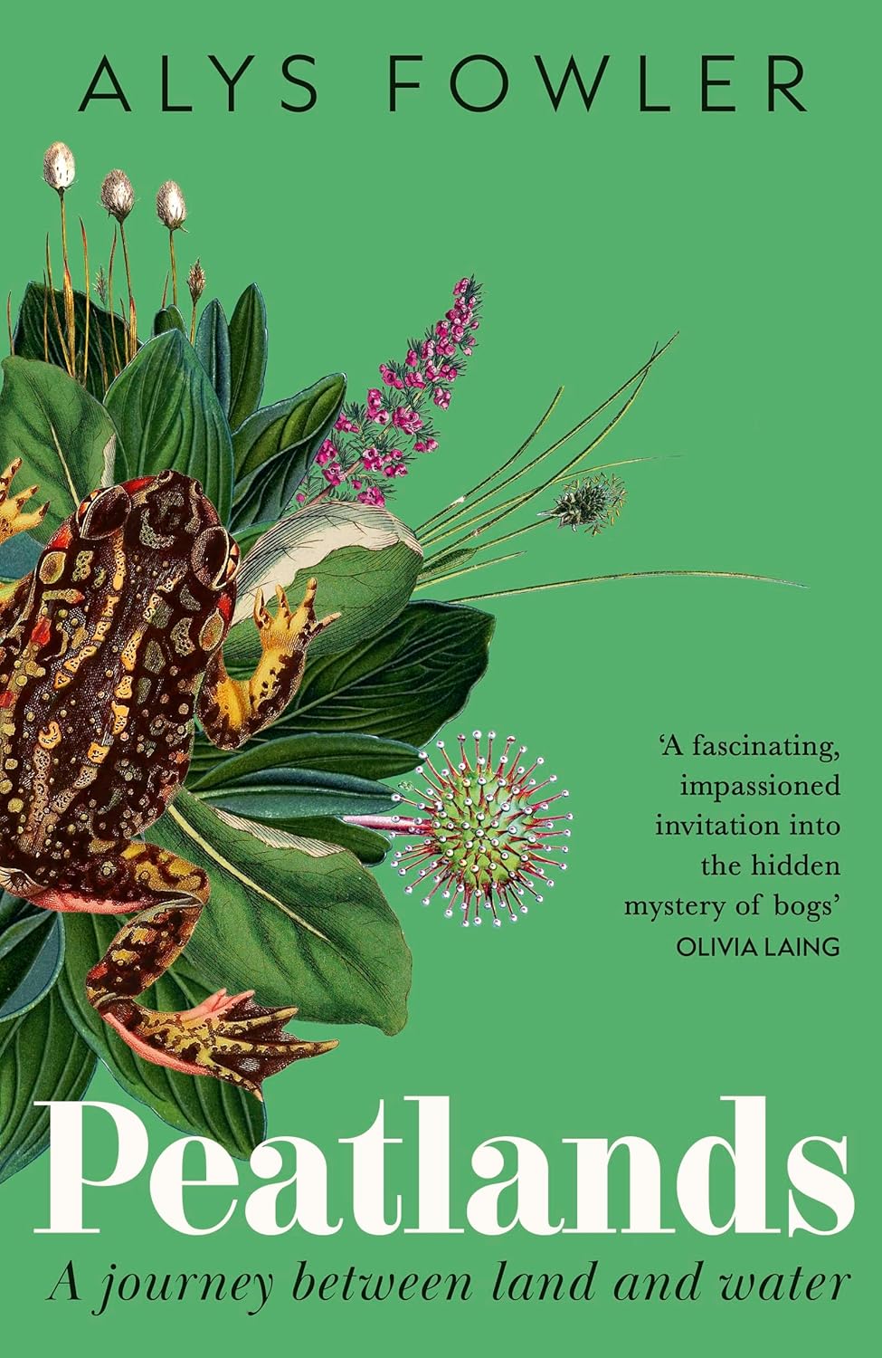 Peatlands - By Alys Fowler