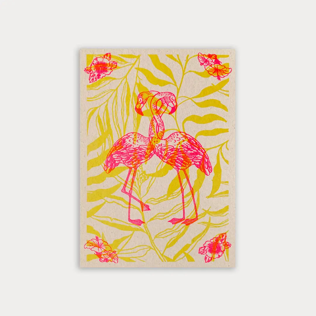 Flamingos - Postcard
