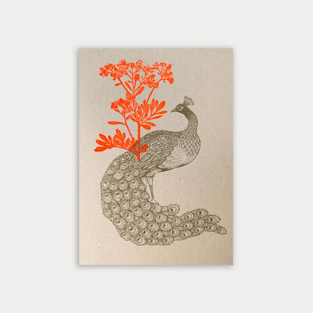 Peacock with Flower - Postcard