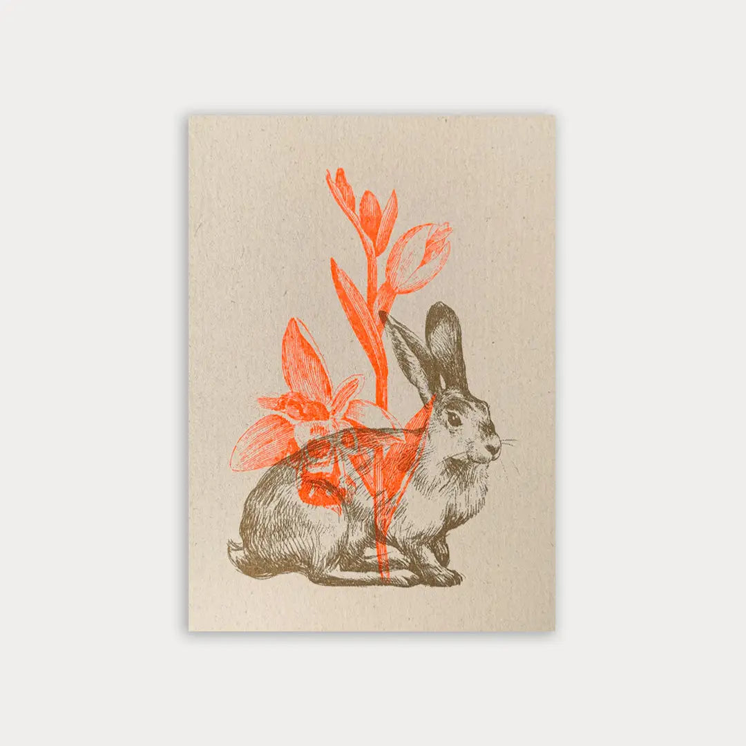 Rabbit with Daffodil - Postcard