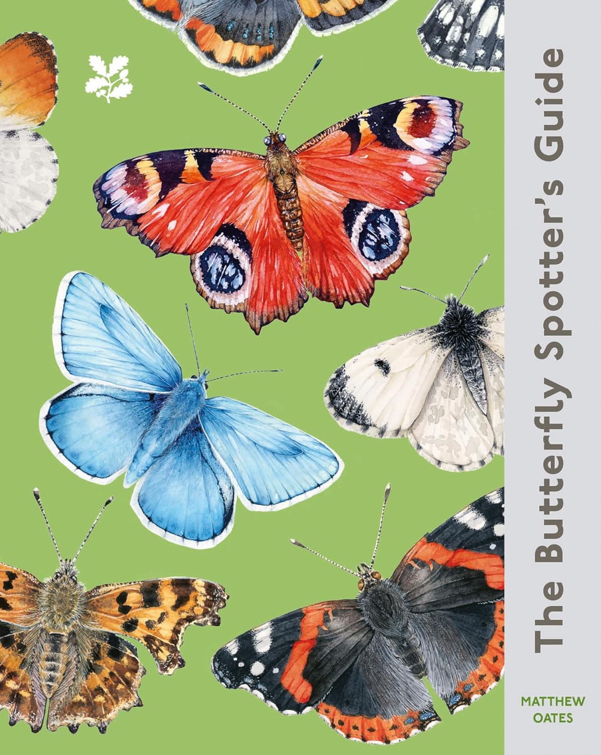 The Butterfly Spotter’s Guide - By Matthew Oates