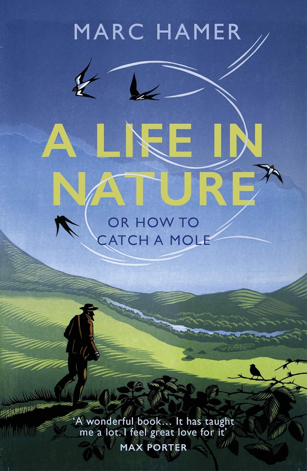 A Life in Nature - By Marc Hamer
