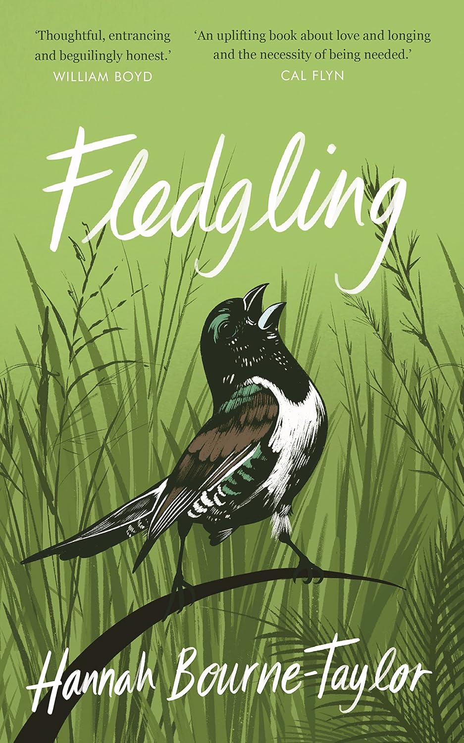 Fledgling - By Hannah Bourne-Taylor
