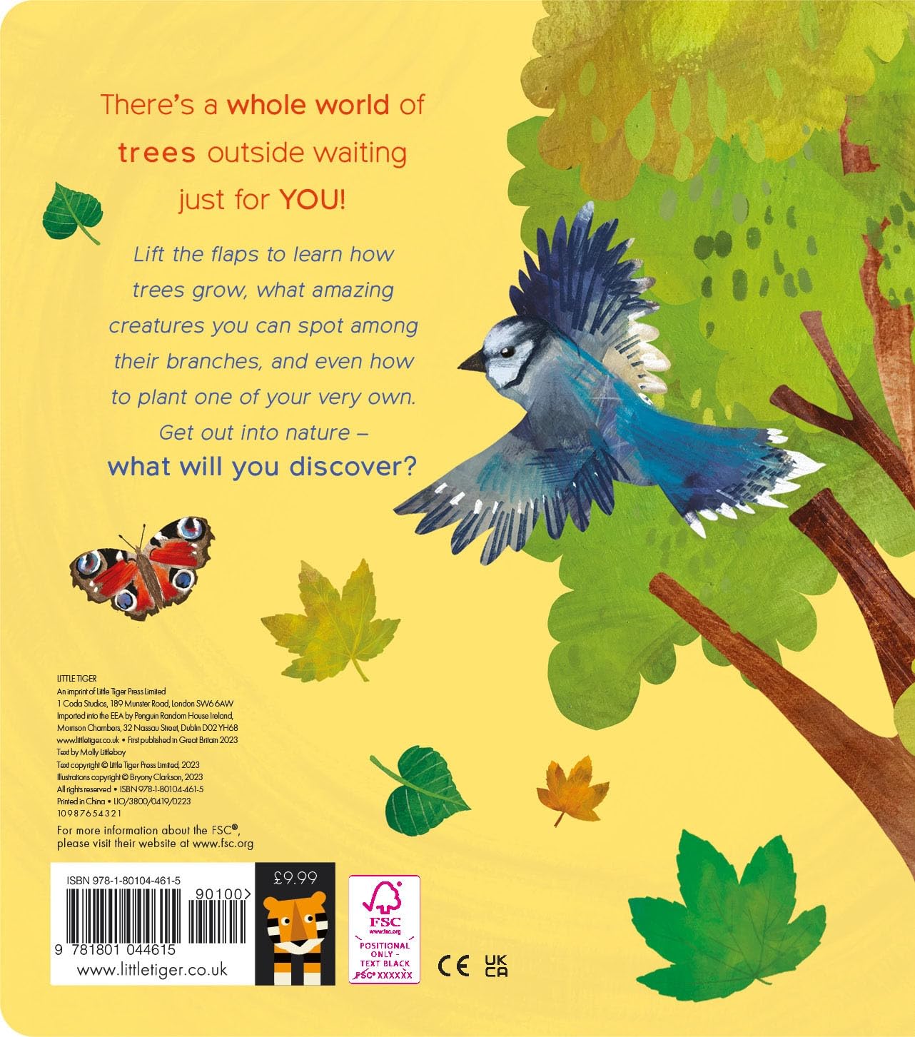 One Little Leaf - By Molly Littleboy & Bryony Clarkson