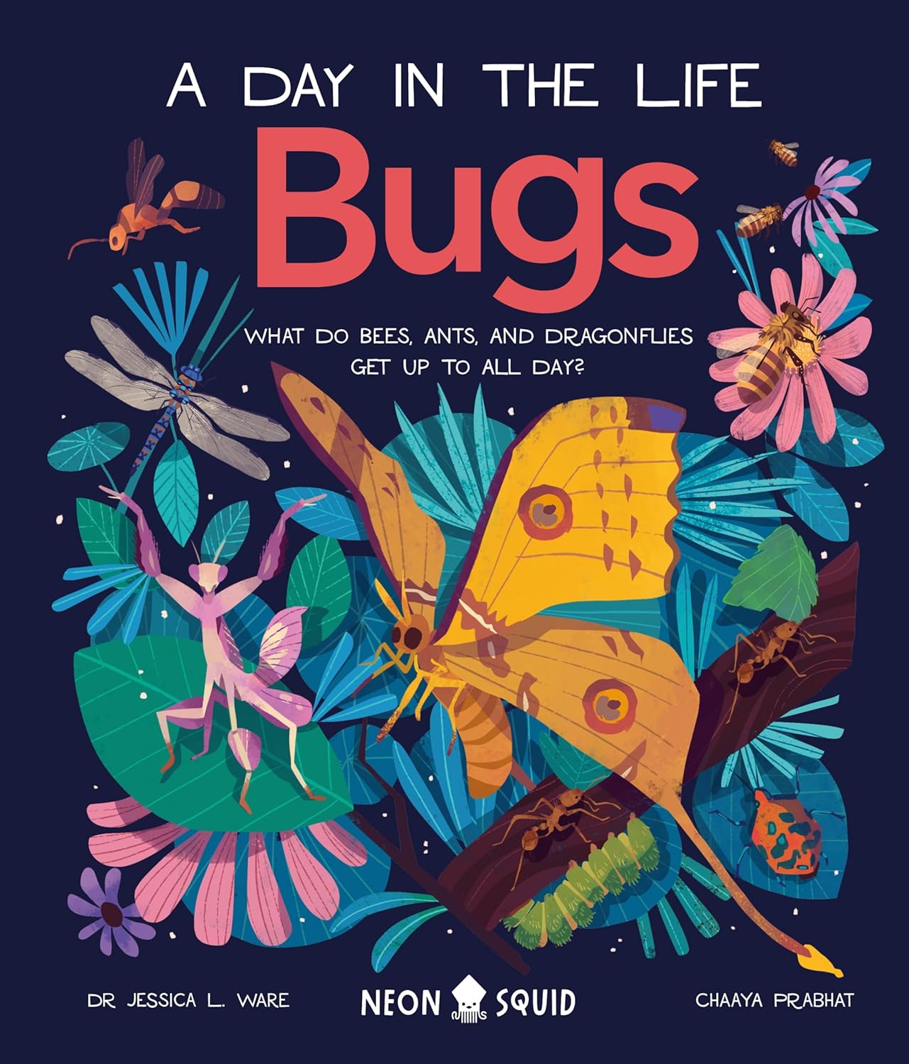 Bugs: A Day in the Life - By Dr Jessica L. Ware