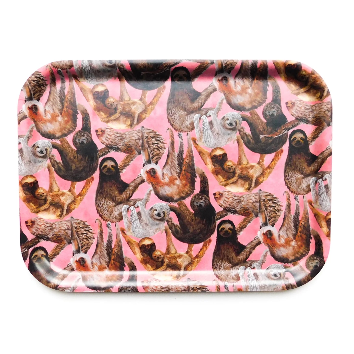 Sleuth of Sloths - Small Tray